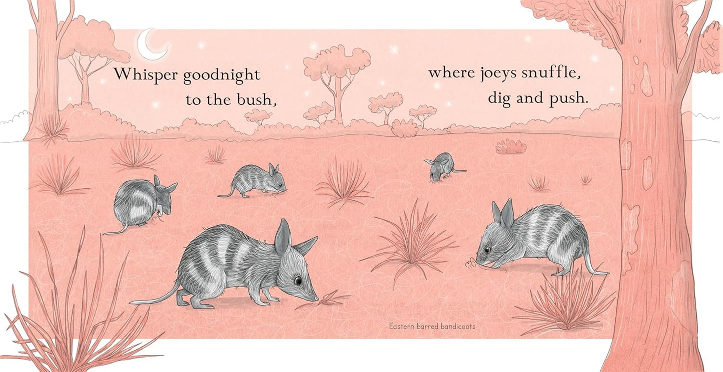 Goodnight, Joeys - Board Book