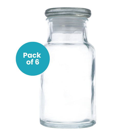 Clear Glass Apothecary Bottle 6pk - 275ml