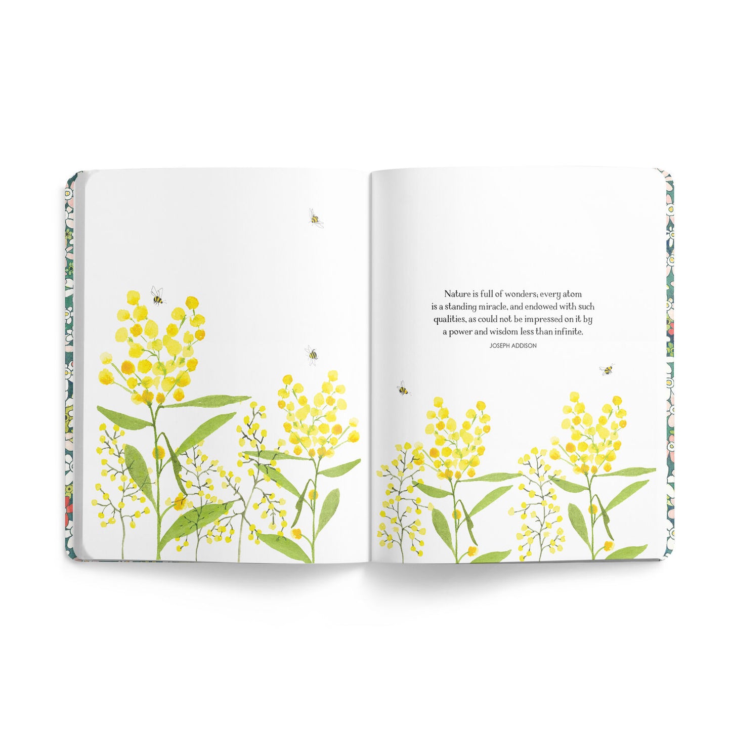 Affirmations Complete Bee Bundle