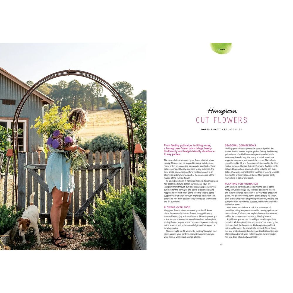 Pip Magazine - Issue 37