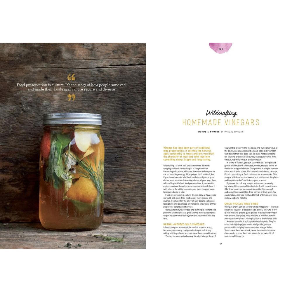 Pip Magazine - Issue 37