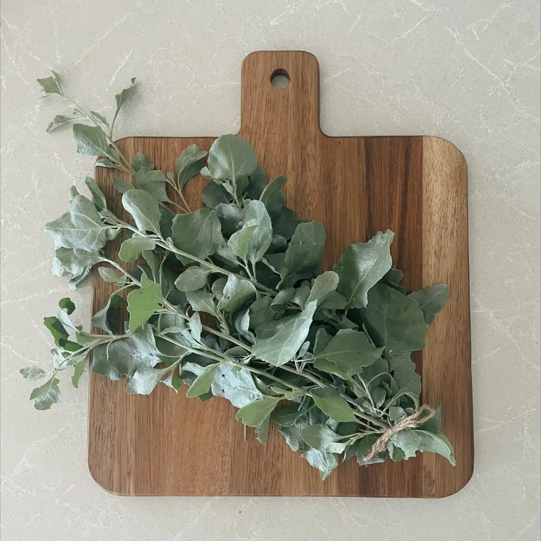 Creative Native Saltbush Flakes