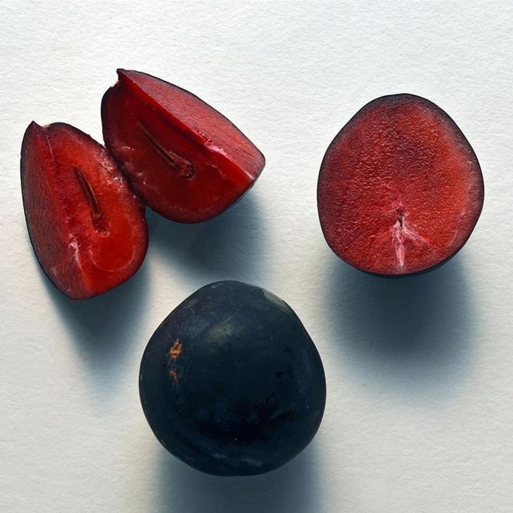 Ziggy's Wild Foods Native Davidson Plum & Wild Dorrigo Pepper Hot Sauce 200ml