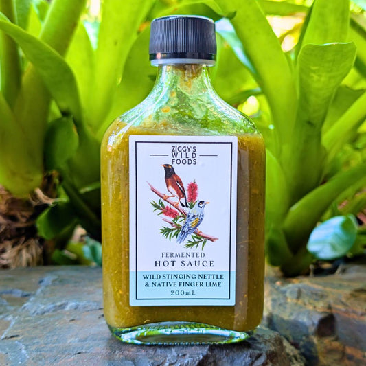 Ziggy's Wild Foods Wild Stinging Nettle & Fingerlime Hot Sauce 200ml
