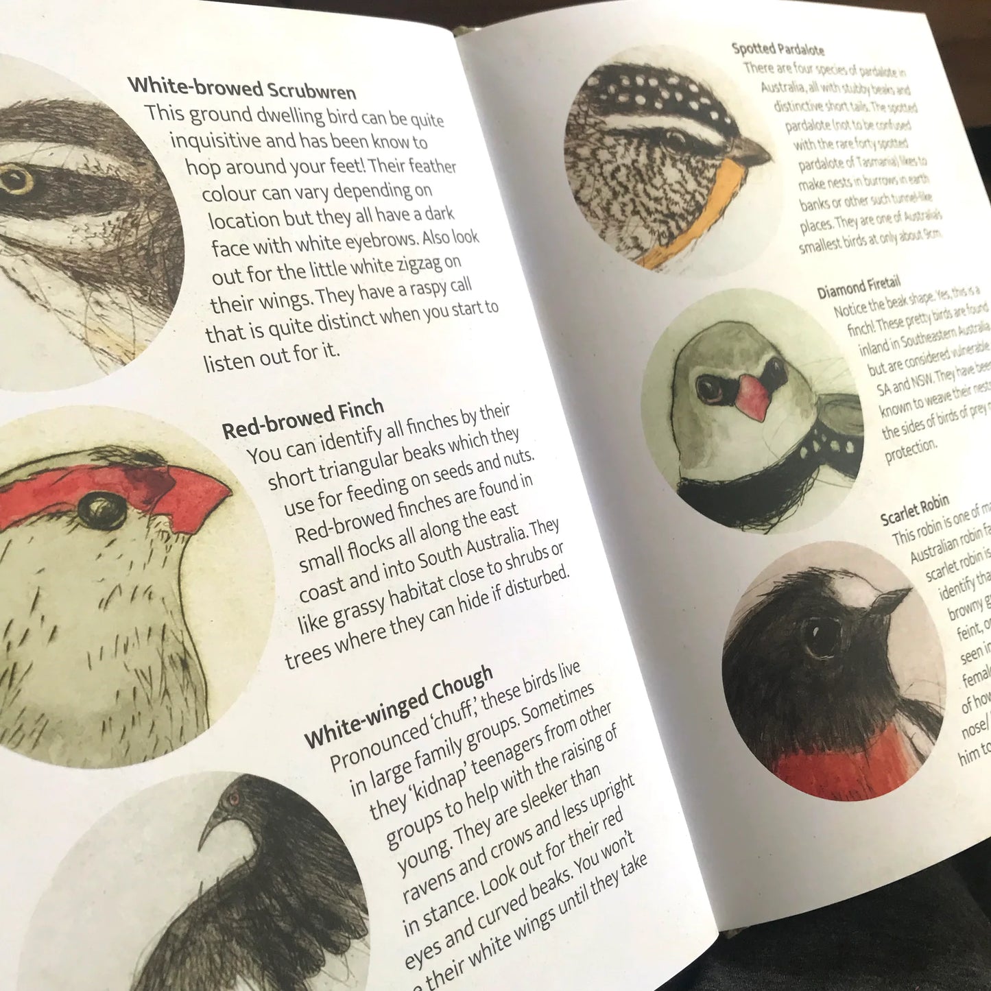 Bridget Farmer Lift-the-Flap Book - The Bush Birds