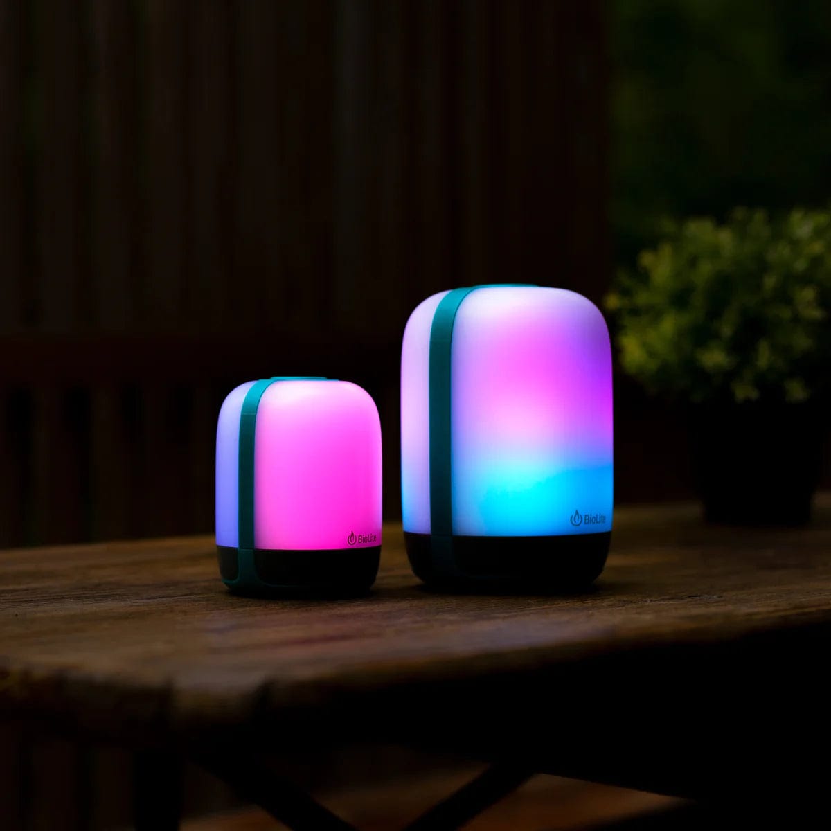 Buy best sale led lantern