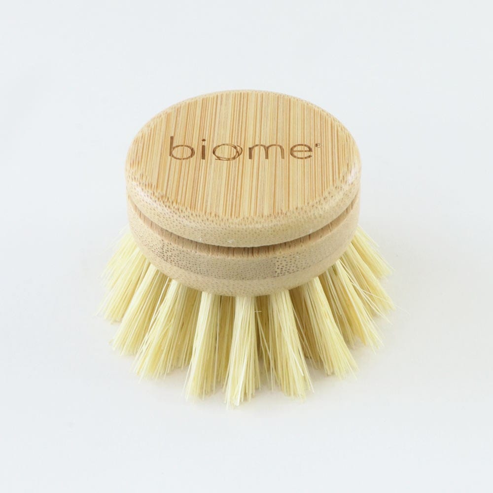Biome Dish Brush Replacement Head