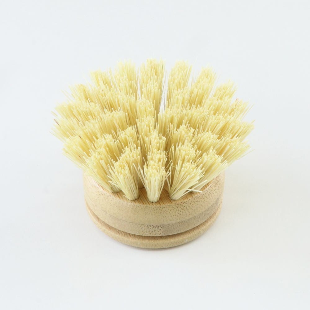 Biome Dish Brush Replacement Head