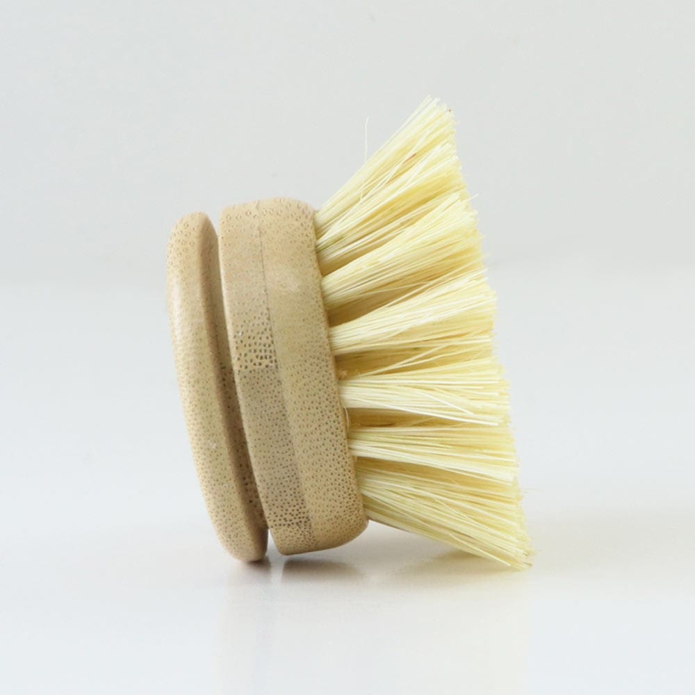 Biome Dish Brush Replacement Head