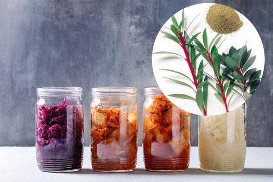 How To Use Australian Native Spices In Your Pickles & Ferments