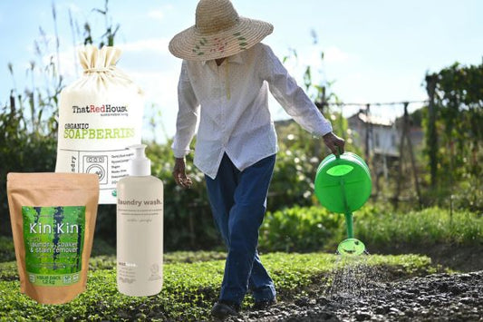 What Cleaning Products Are Greywater Safe in Australia?