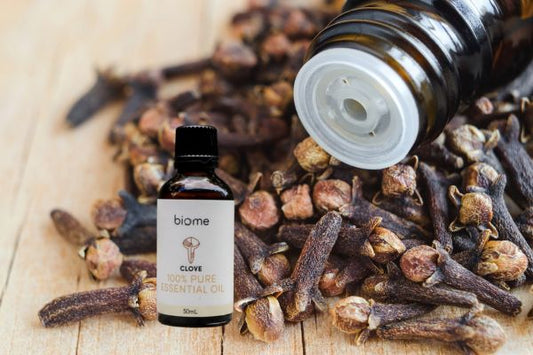 6 Things to Know About Using Clove Oil for Mould Removal