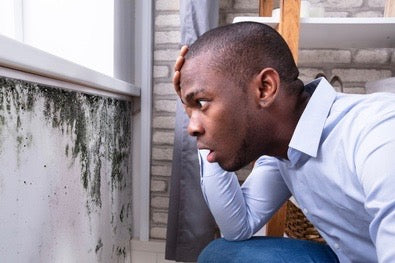 How to Tackle Moisture & Mould Naturally