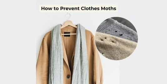 How To Get Rid Of Clothes Moths Naturally And Prevent Them Returning