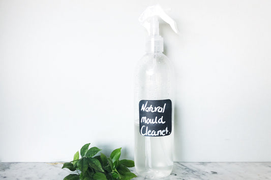 How To Make a Natural Mould & Mildew Cleaner  (DIY Mould Killer Recipe)