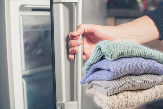Does Freezing Clothes Kill Moths? The 72-Hour Method