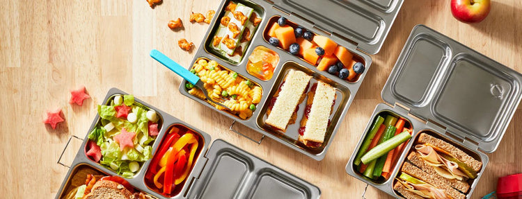 Whole Earth Provision Co.  YUMBOX Yumbox Stainless Steel Leakproof Bento  Box