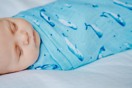 100% Organic Cotton Muslin Swaddle - Watercolour Whales Aquatic Blue