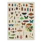 Poppik Discovery Jigsaw Puzzle 500 Piece - Insects