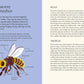 Honeybees: The Wonders of the Hive and How to Help Them Thrive