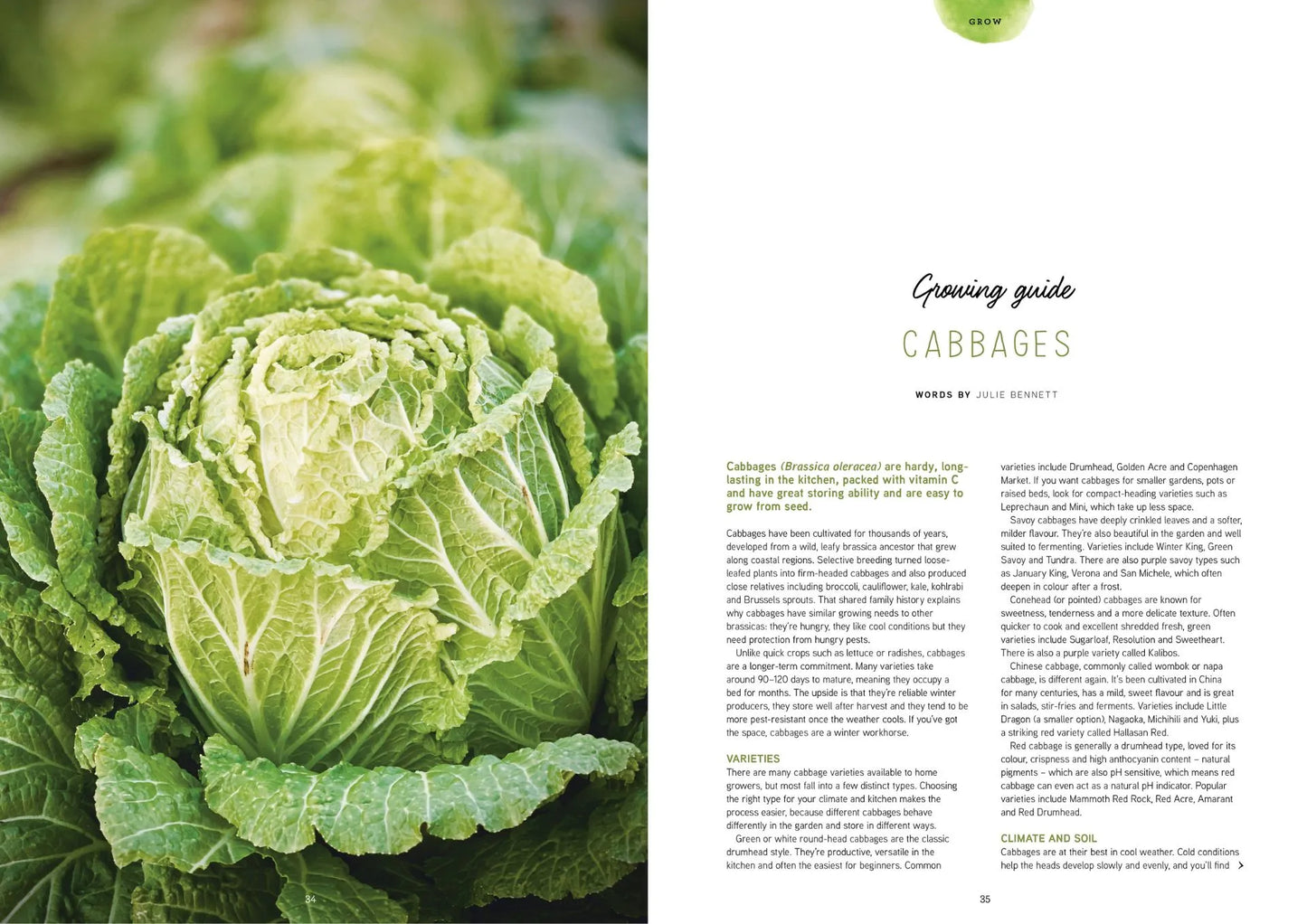 Pip Magazine - Issue 40