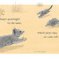 Goodnight, Joeys - Board Book