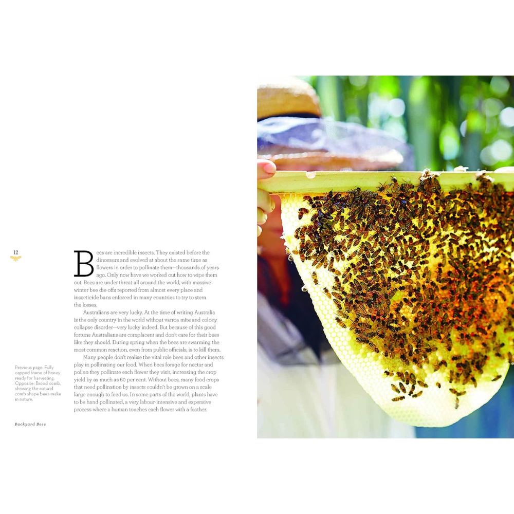 Backyard Bees: Fully Revised and Updated