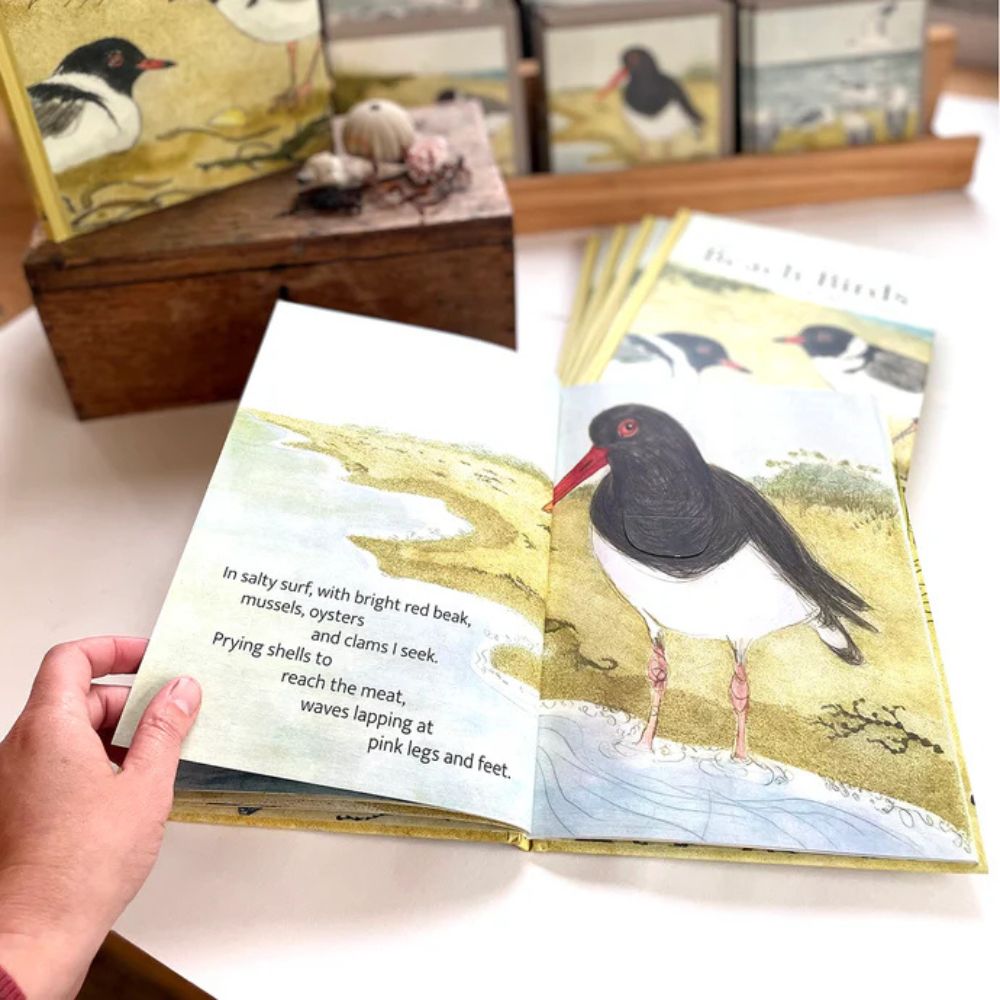 Bridget Farmer Lift-the-Flap Book - The Beach Birds