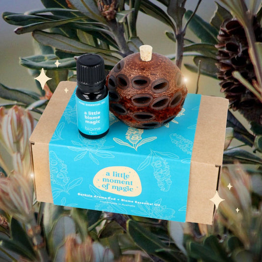 Banksia Aroma Pod + Biome Essential Oil Gift Pack - A Little Moment of Magic