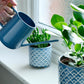 Burgon & Ball Indoor Watering Can 0.7L - Heritage Blue
