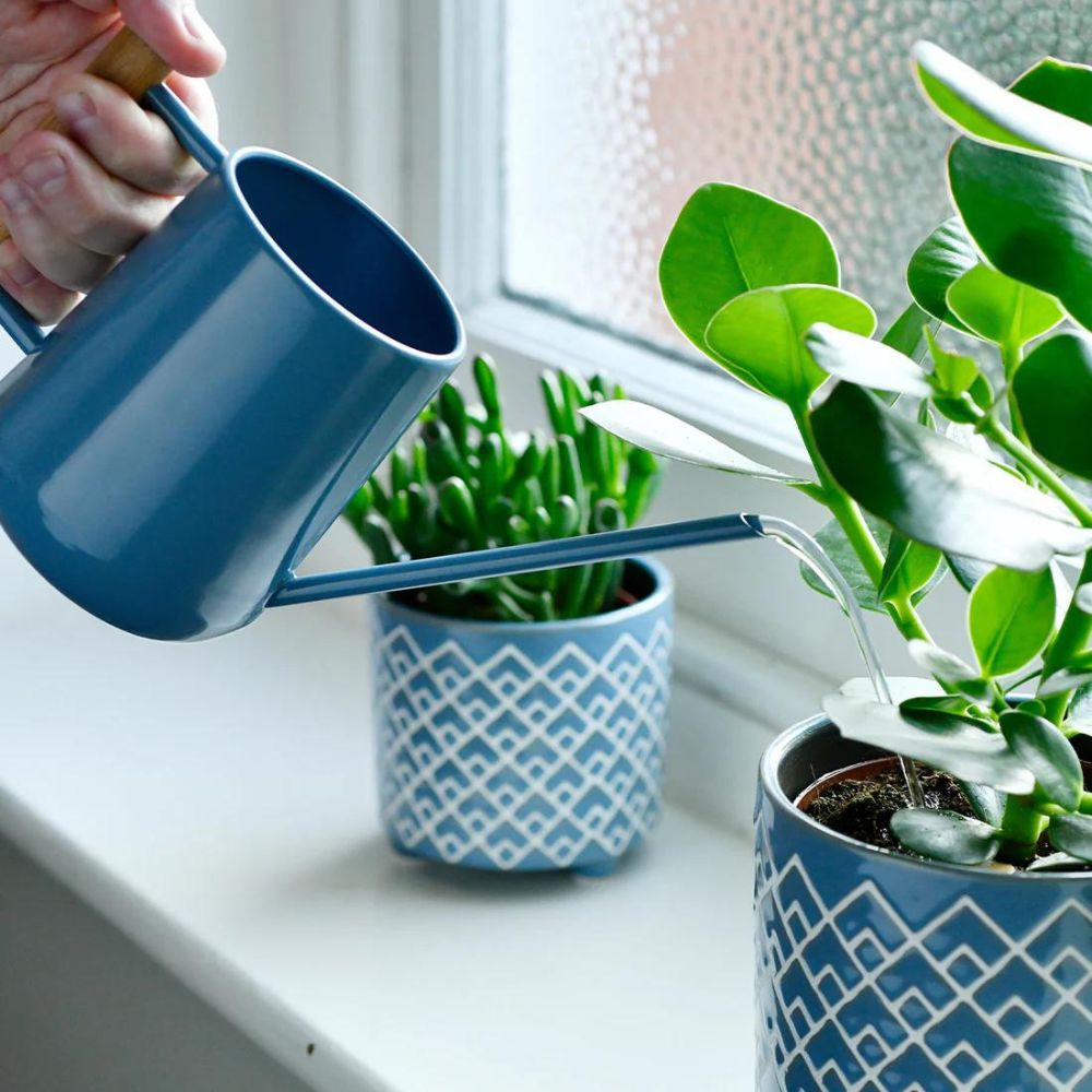 Burgon & Ball Indoor Watering Can 0.7L - Heritage Blue