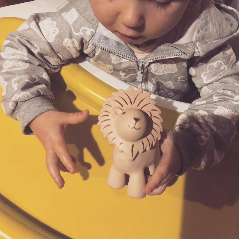 Tikiri Lion Rubber Teether Rattle & Bath Toy