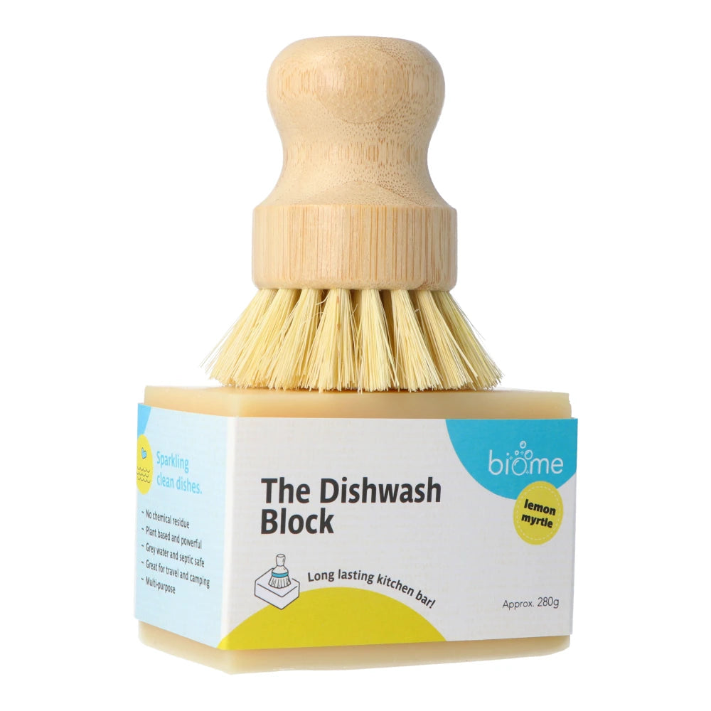 The Dishwash Soap Block by Biome