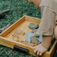 Cookie Cutter / Play Dough Cutter Set - Pond Life (set of 6)