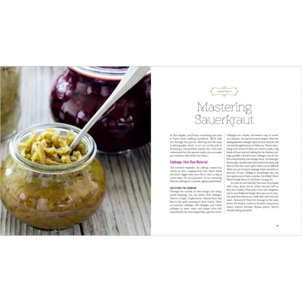 Fermented Vegetables
