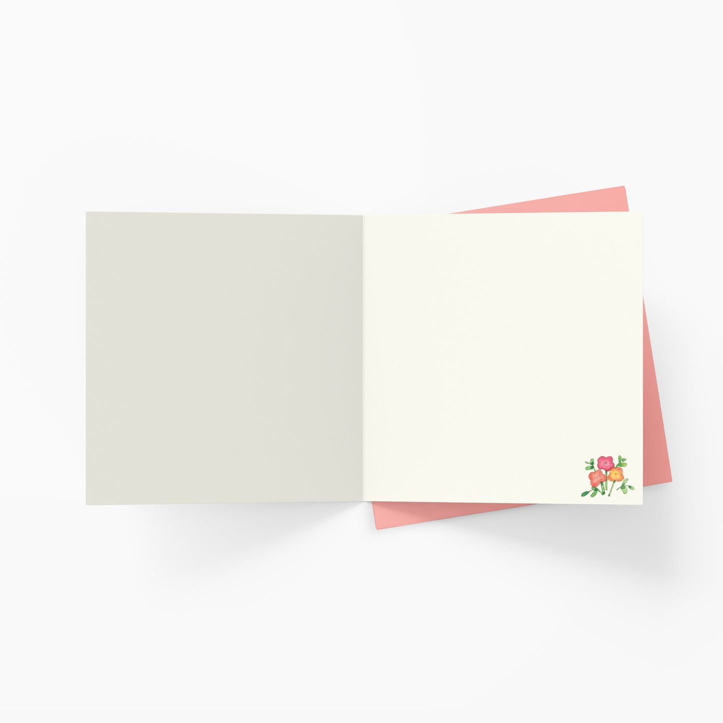 Twigseeds Birthday Card - You Spring Chicken
