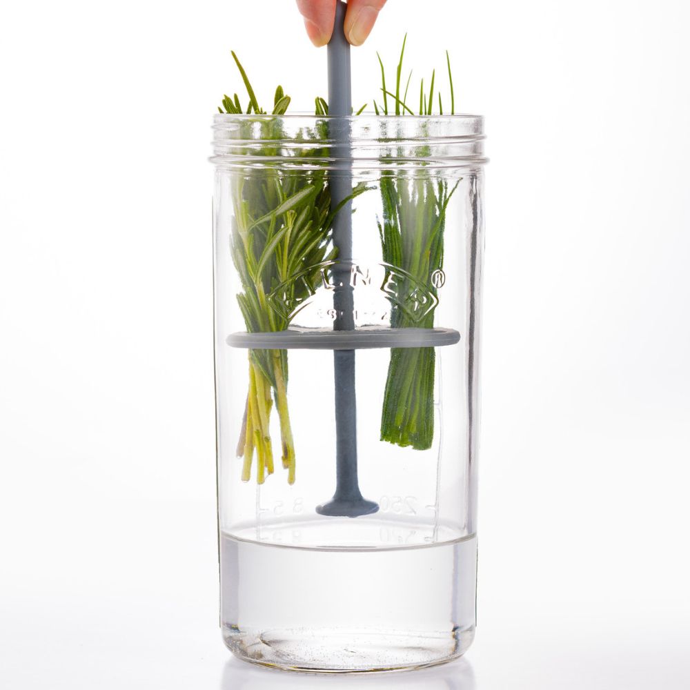 Kilner Herb Keeper 1L