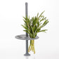 Kilner Herb Keeper 1L