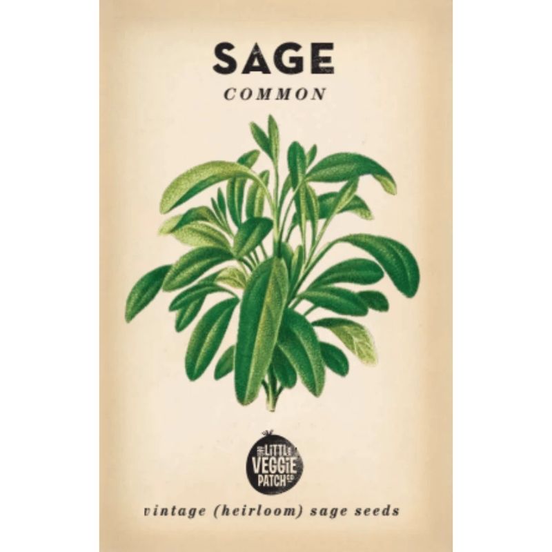 Little Veggie Patch Heirloom Seeds - Sage (Common)