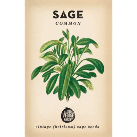 Little Veggie Patch Heirloom Seeds - Sage (Common)