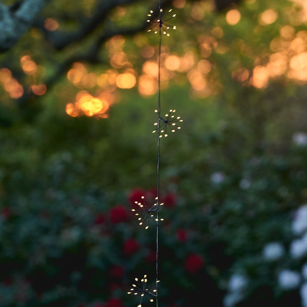 Lumina Outdoor Starburst Chain Lights - Solar Powered