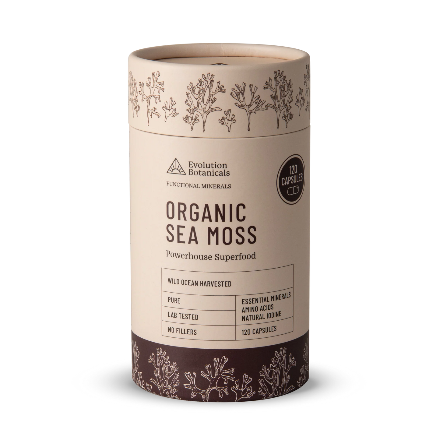 Evolution Botanicals Organic Sea Moss 120 Caps