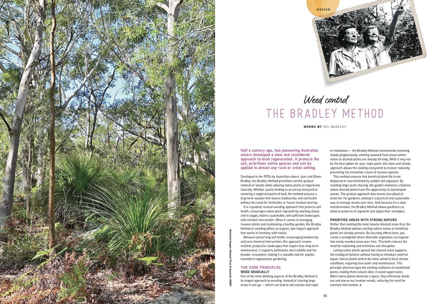 Pip Magazine - Issue 36