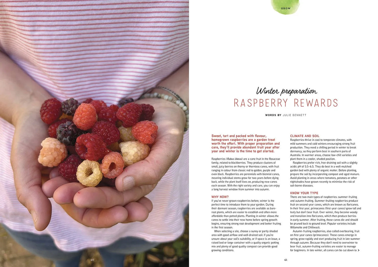 Pip Magazine - Issue 36