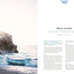 Pip Magazine - Issue 41