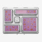 PlanetBox Rover Magnet Sets