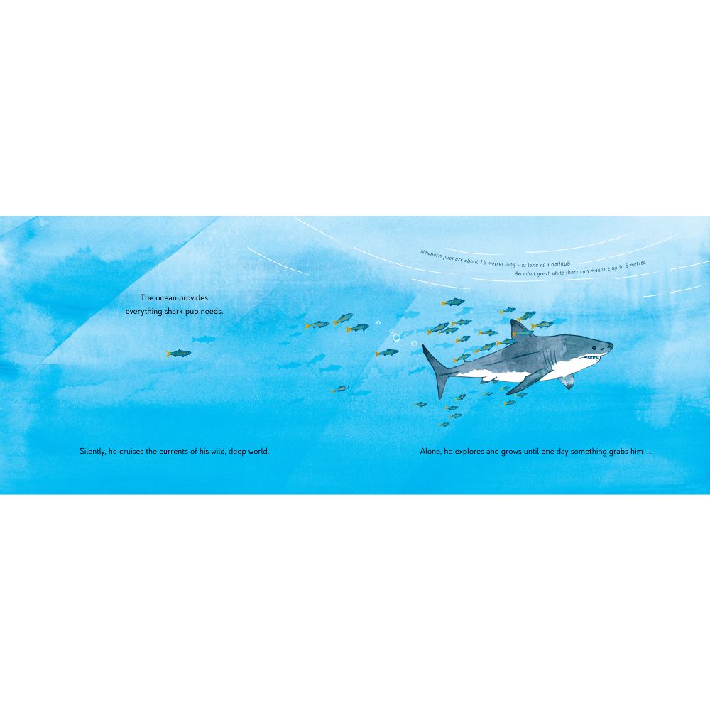 Saving Shark Pup - The Incredible True Story