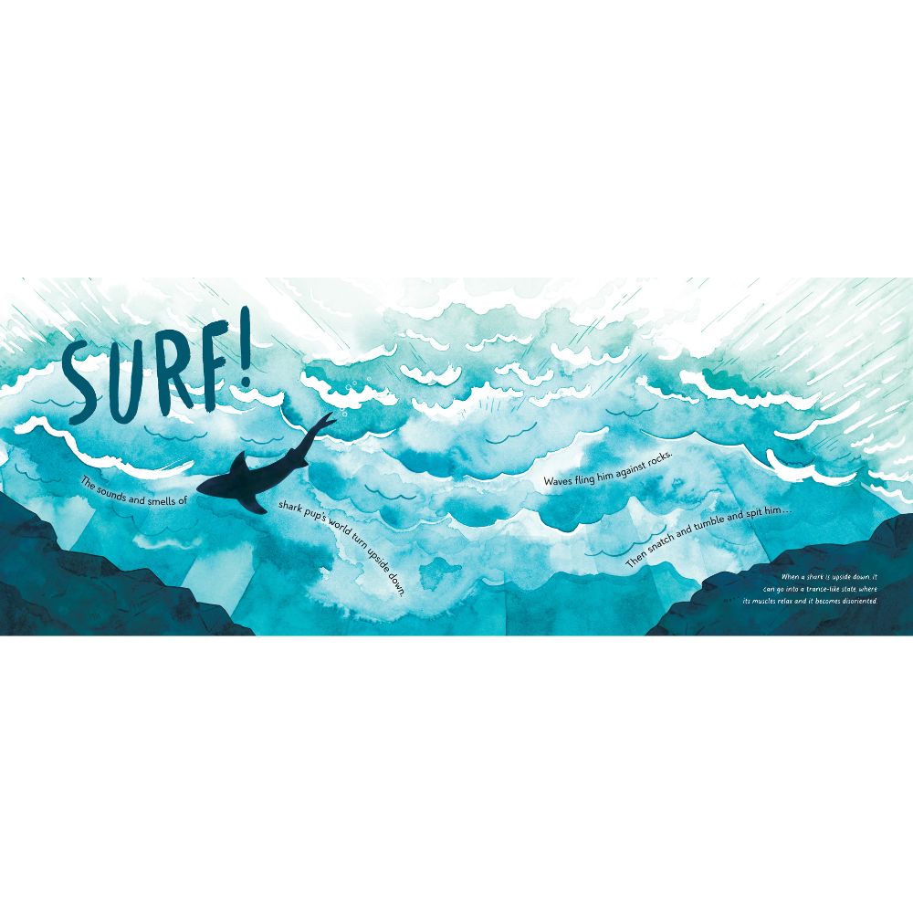 Saving Shark Pup - The Incredible True Story