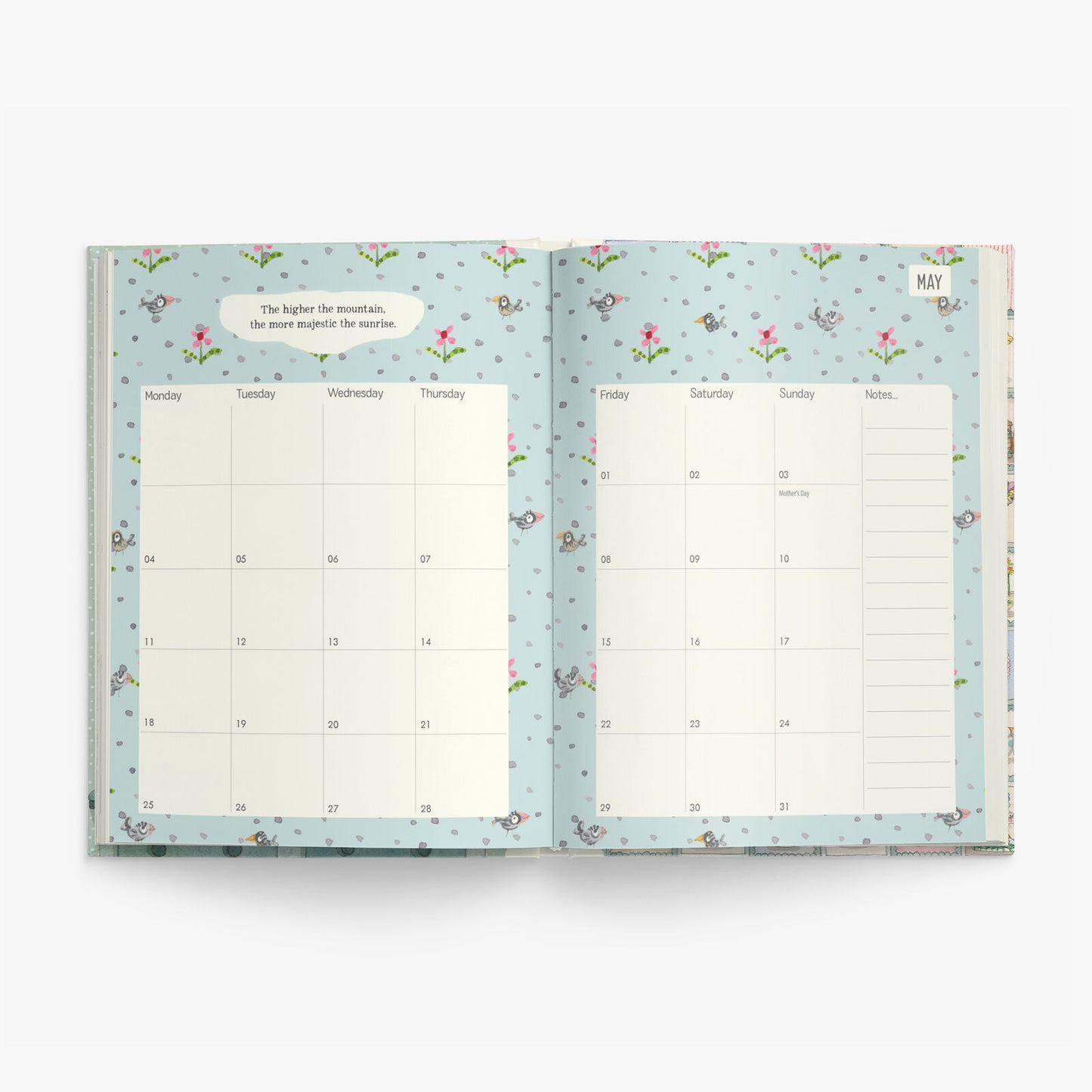 Kate Knapp Twigseeds Diary 2026