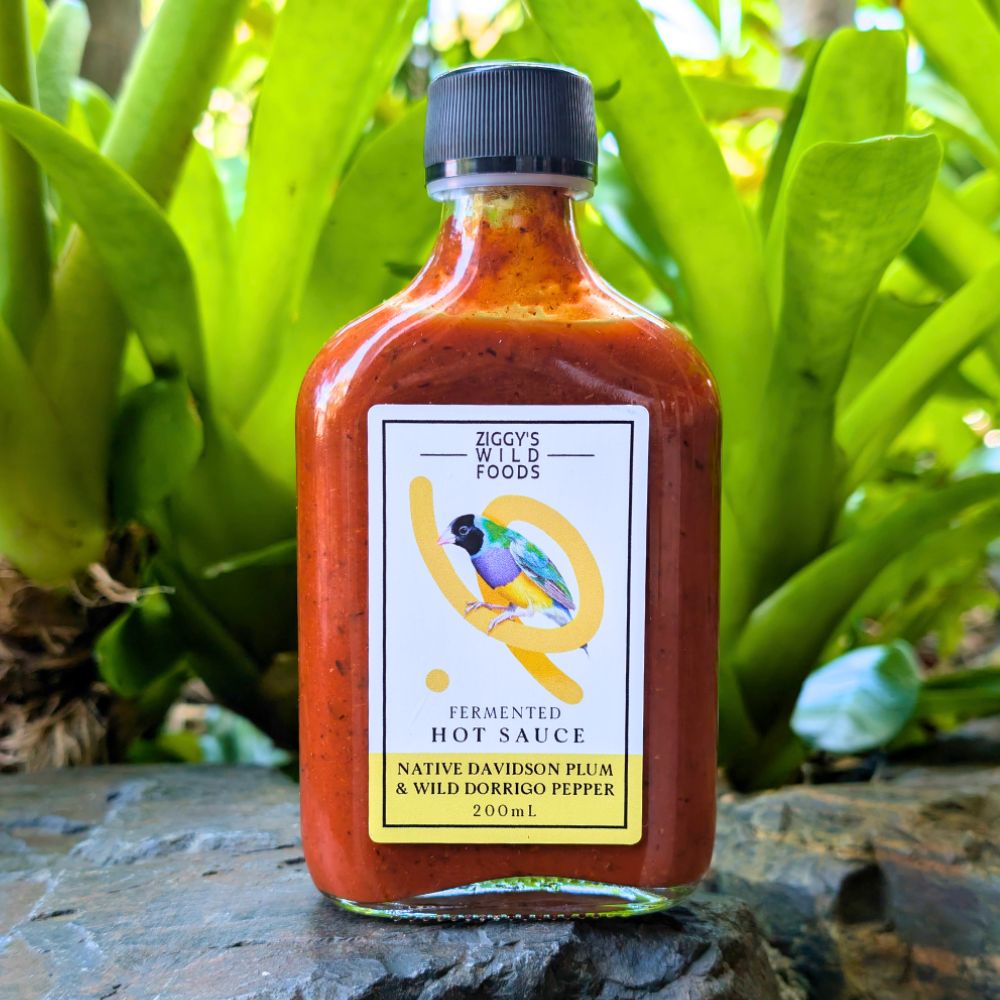 Ziggys Wild Foods Native Davidson Plum & Wild Dorrigo Pepper Hot Sauce 200ml